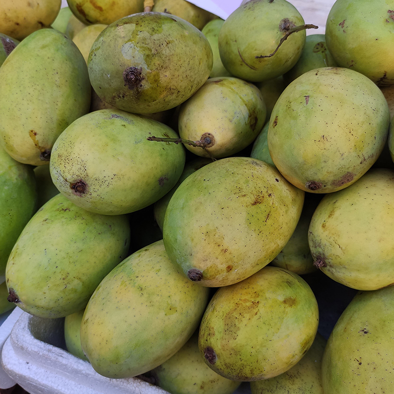 Xoài cát Hoà Lộc loại 2